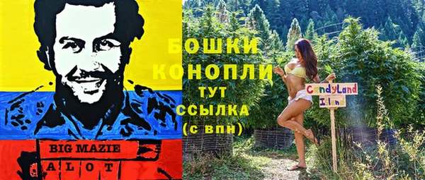 ГАЛЛЮЦИНОГЕННЫЕ ГРИБЫ Сатка