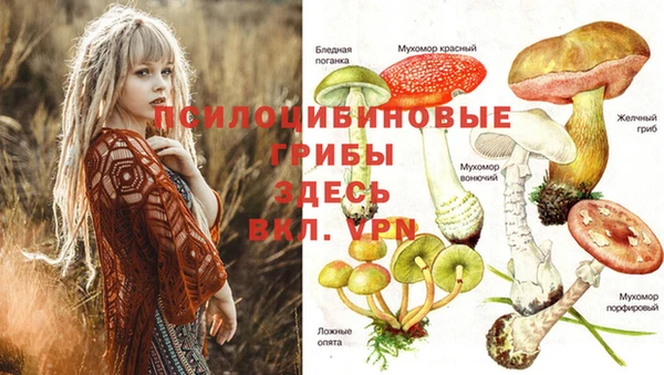 кокаин Алексеевка