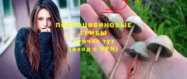 ALPHA-PVP Алексин
