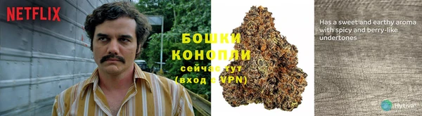 apvp Арсеньев